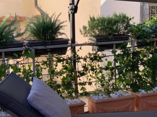 Апартаменты La Terrazza Del Duomo A Пистойя Экстерьер фото